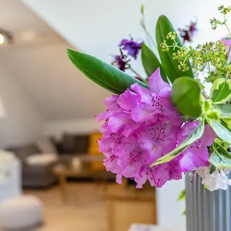 Apartmán Kuenstlerkoje Husum (Schleswig-Holstein)